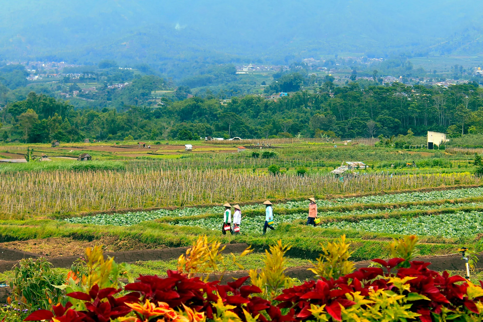 Ekonomi Masyarakat