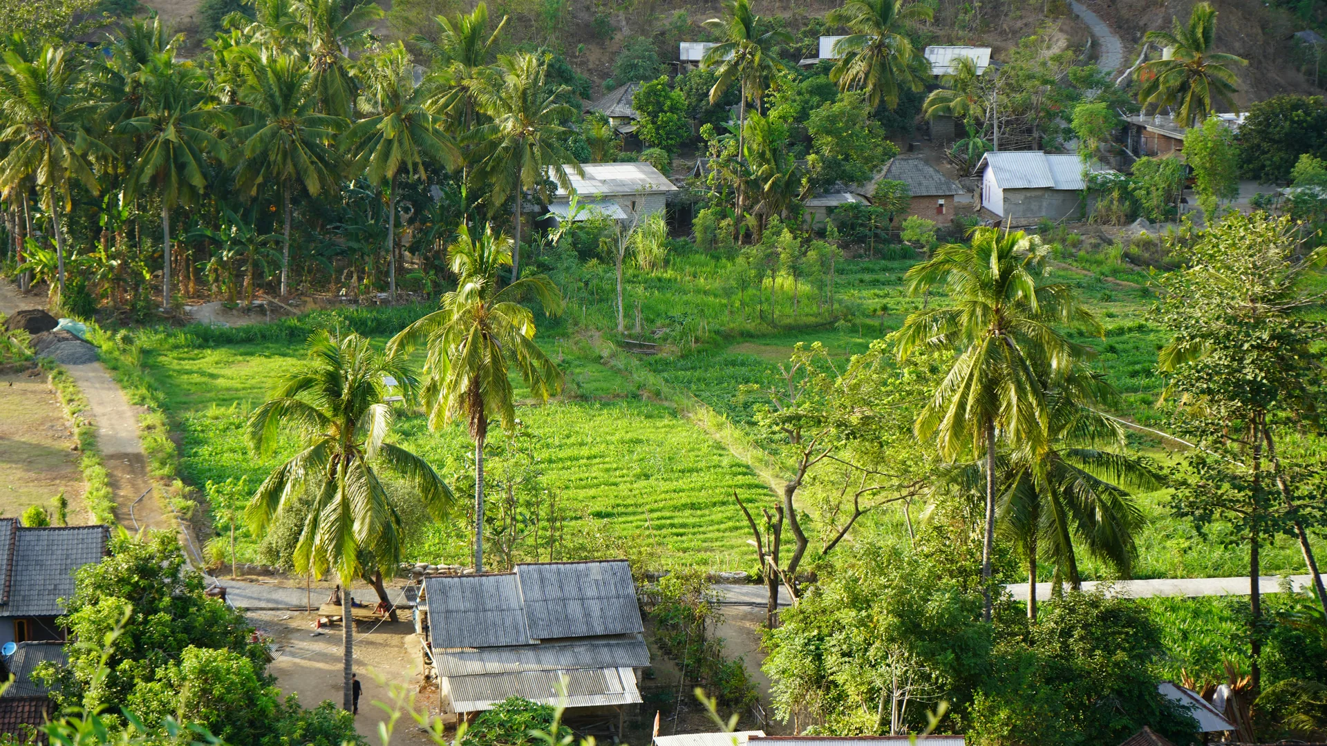 Wilayah Kelurahan Benteng